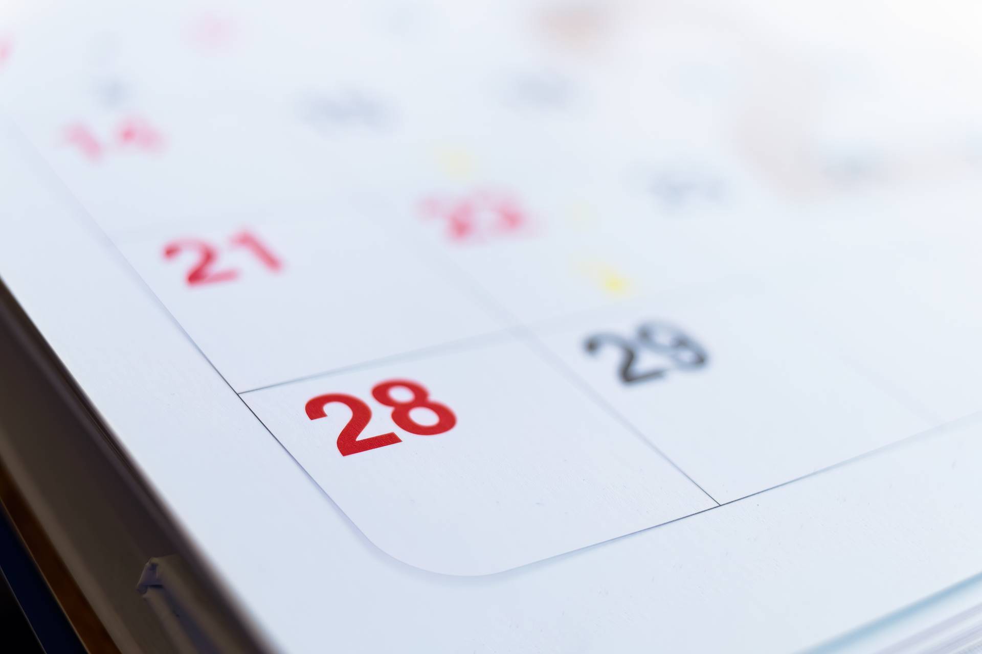Learn SEO in One Day: A Beginner's Guide to Fast Results